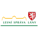 Lslany Logo